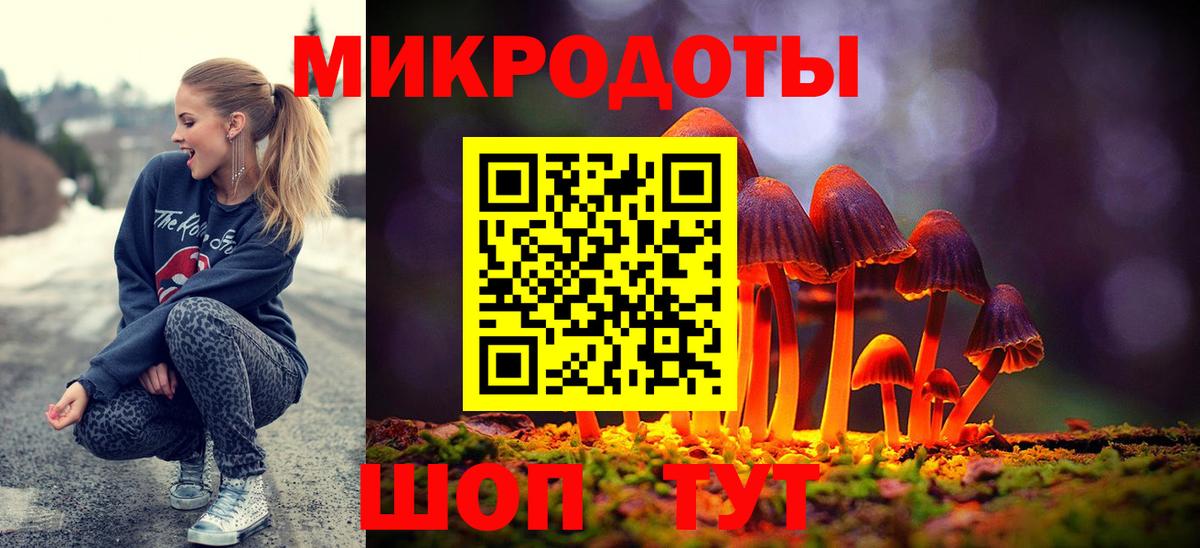 где купить наркоту  Вход с VPN  Черногорск  Псилоцибиновые грибы Cubensis 
